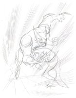 Wolverine loose pencils Comic Art